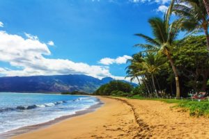 Strandbröllop: Hawaii