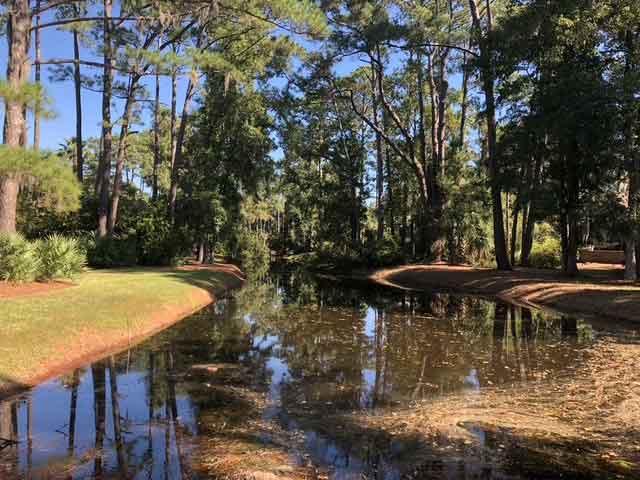 Photo of Marriotts Vacation Club Destinations Points, Points