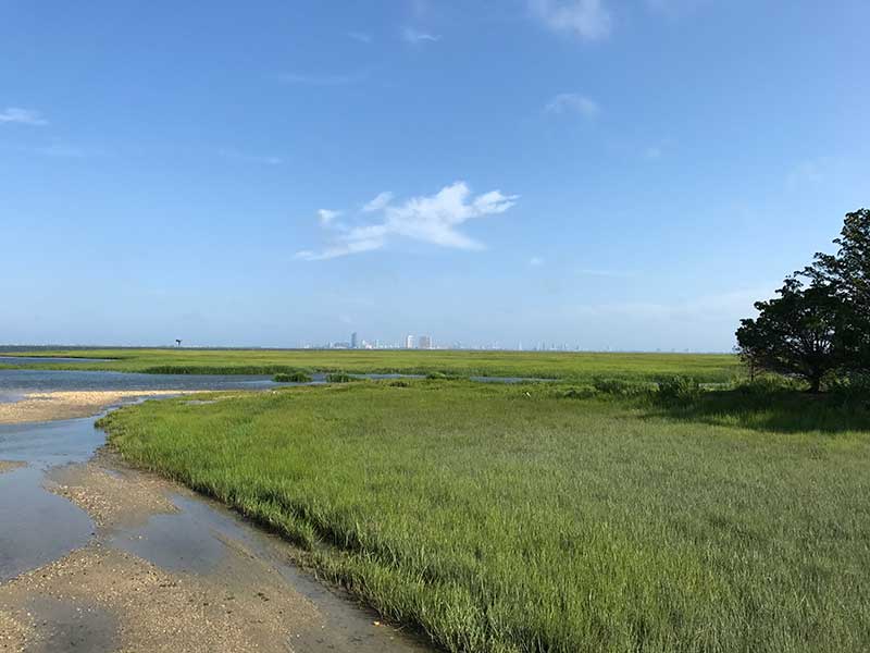 Photo of Marriotts Fairway Villas at Seaview, USA