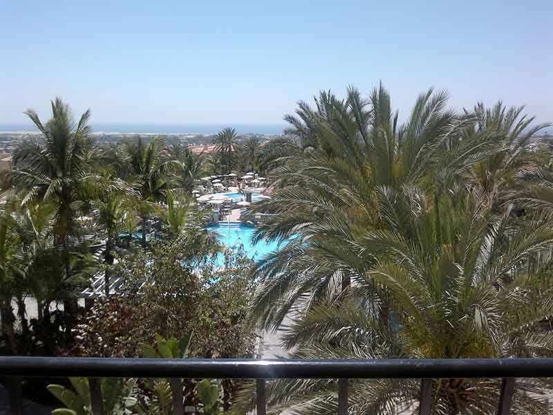 Photo of Palm Oasis, Gran Canaria