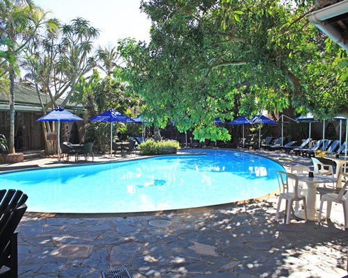 Click to enlarge Photo of Salt Rock Palms