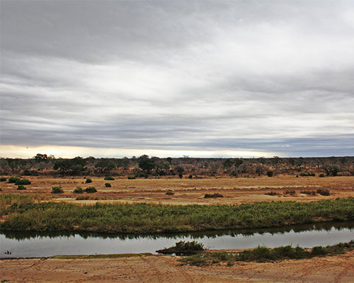 Photo of Ngwenya Lodge