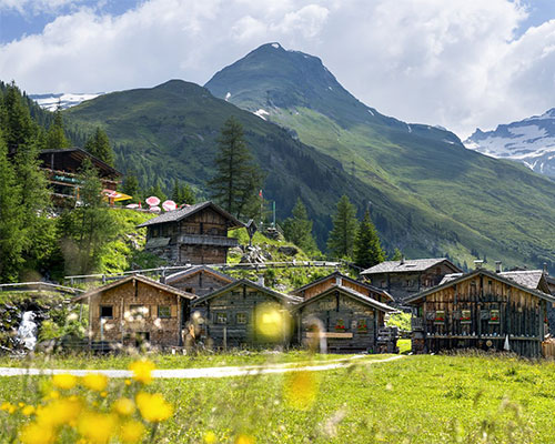 Resort Image Hotelli Goldried / Goldried Park