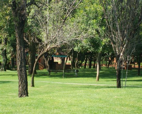 Photo of Manzi Monate