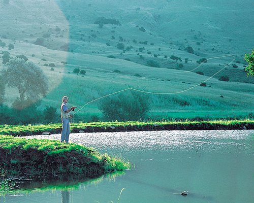 Photo of Doornkop Fish and Wildlife