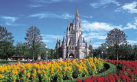 Photo of Disney's Vacation Club