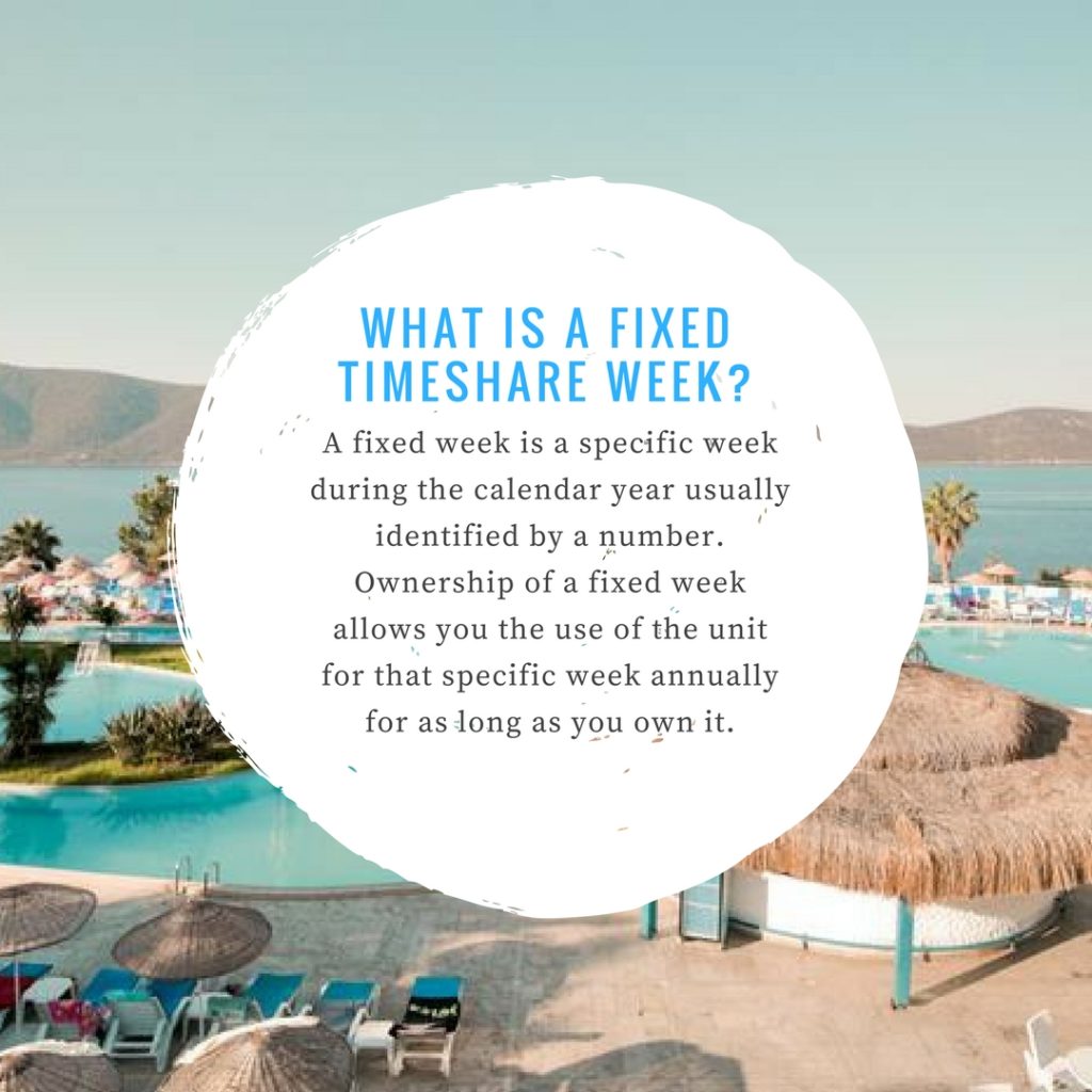 Timeshare Our Ultimate Guide to Everything You Need to Know