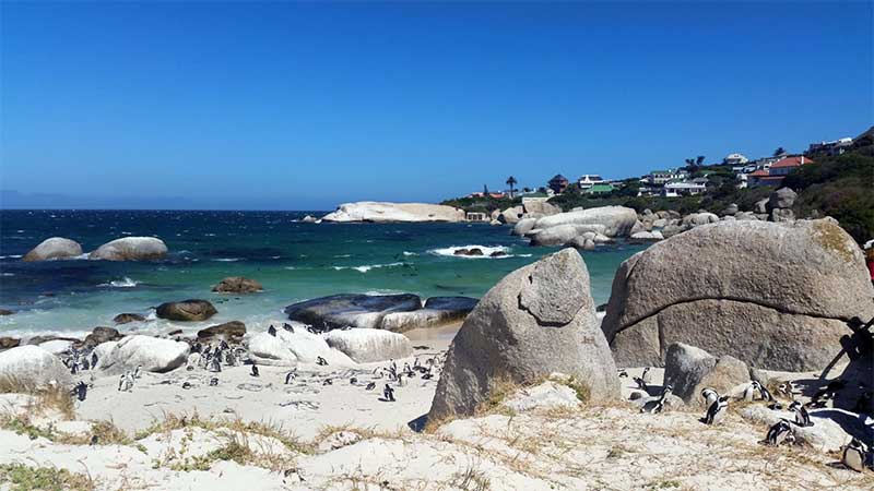 Spiaggia dei massi, Cape Town, Sudafrica